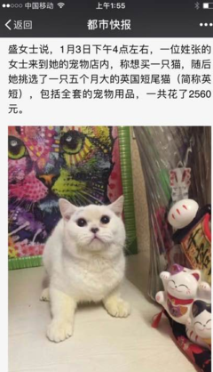 一紙協議與一段生命 寵物棄養背后的責任缺失與消費反思