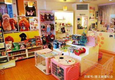 為您揭開最近幾年比較熱門生意背后的行業秘密