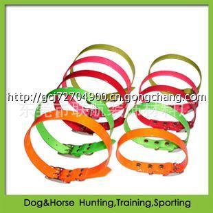 高檔時尚寵物用品的市場機遇與銷售策略