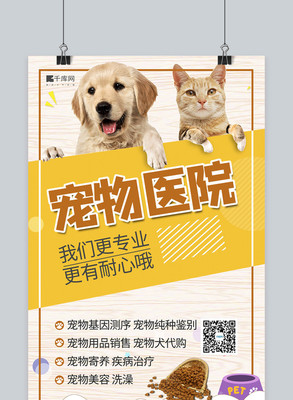 春分時節，與愛寵共迎生機——卡通剪紙風春分節氣寵物用品海報