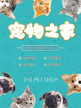 寵物用品銷售中的食物分解模板在線制作 創新工具助力營銷增長