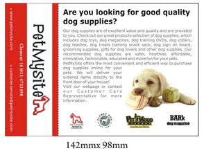 DIY敏捷欄跳躍訓練 為迷你雪納瑞打造專屬運動樂趣與寵物護理指南